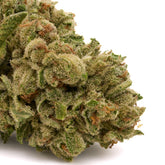 Tangelo THCa Hemp Flower - Plants